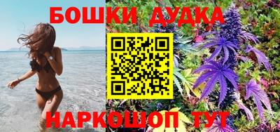 соль ск Пугачёв