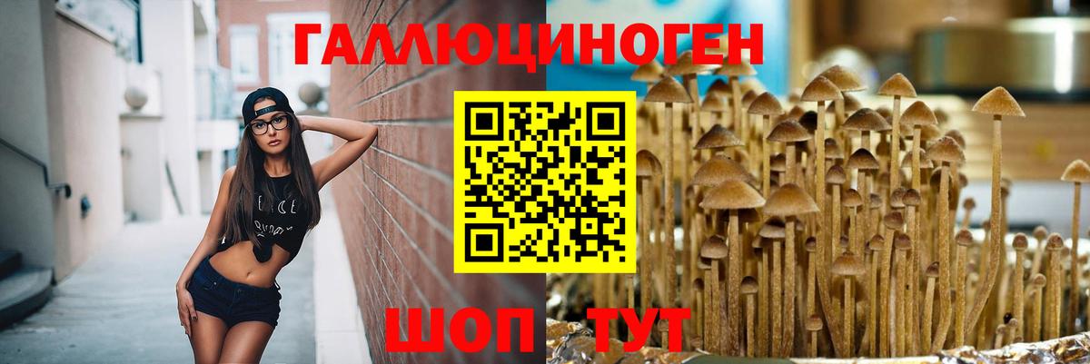 Сибай  Галлюциногенные грибы Magic Shrooms  дарнет шоп  Вход с VPN 